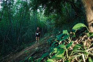 BIB: 
                            <button type="button" onclick="openModal(28124708)" class="btn btn-primary btn-sm float-right btn-popup" data-toggle="modal" data-target=".modal-high-quality">
                        <i class="fas fa-shopping-cart"></i> Add to Cart
                    </button>
                                            <button type="button" onclick="isThisMe(28124708, true)" class="btn btn-success btn-sm float-right btn-popup btn-isme hidden" data-toggle="tooltip" data-placement="bottom" title="นี่คือรูปของคุณใช่ไหม คลิกที่นี่เพื่อเอาเข้าอัลบั้ม">
                        <i class="fas fa-plus"></i> Add to album
                    </button>
                    <button type="button" onclick="isThisMe(28124708, false)" class="btn btn-warning btn-sm float-right btn-popup btn-isnotme hidden">
                        <i class="fas fa-ban"></i> Remove from album
                    </button>